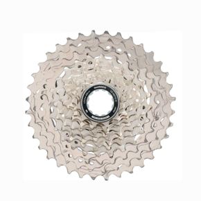 Nunc congue dui nec...