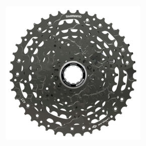 Nunc congue dui nec...