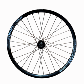 Nunc congue dui nec...